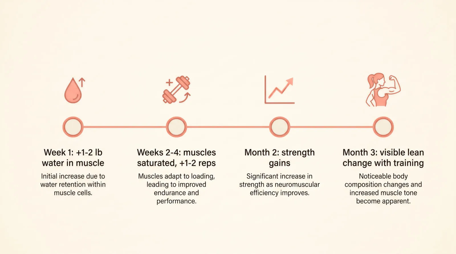 Creatine timeline: week 1 water, weeks 2–4 saturation and extra reps, month 2 strength, month 3 visible change with training